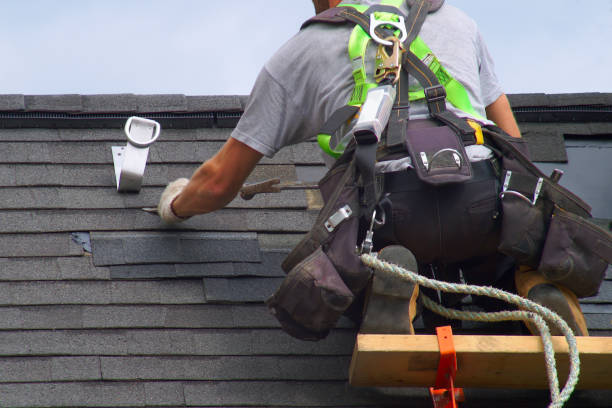 Best Roof Gutter Cleaning  in Orange, VA